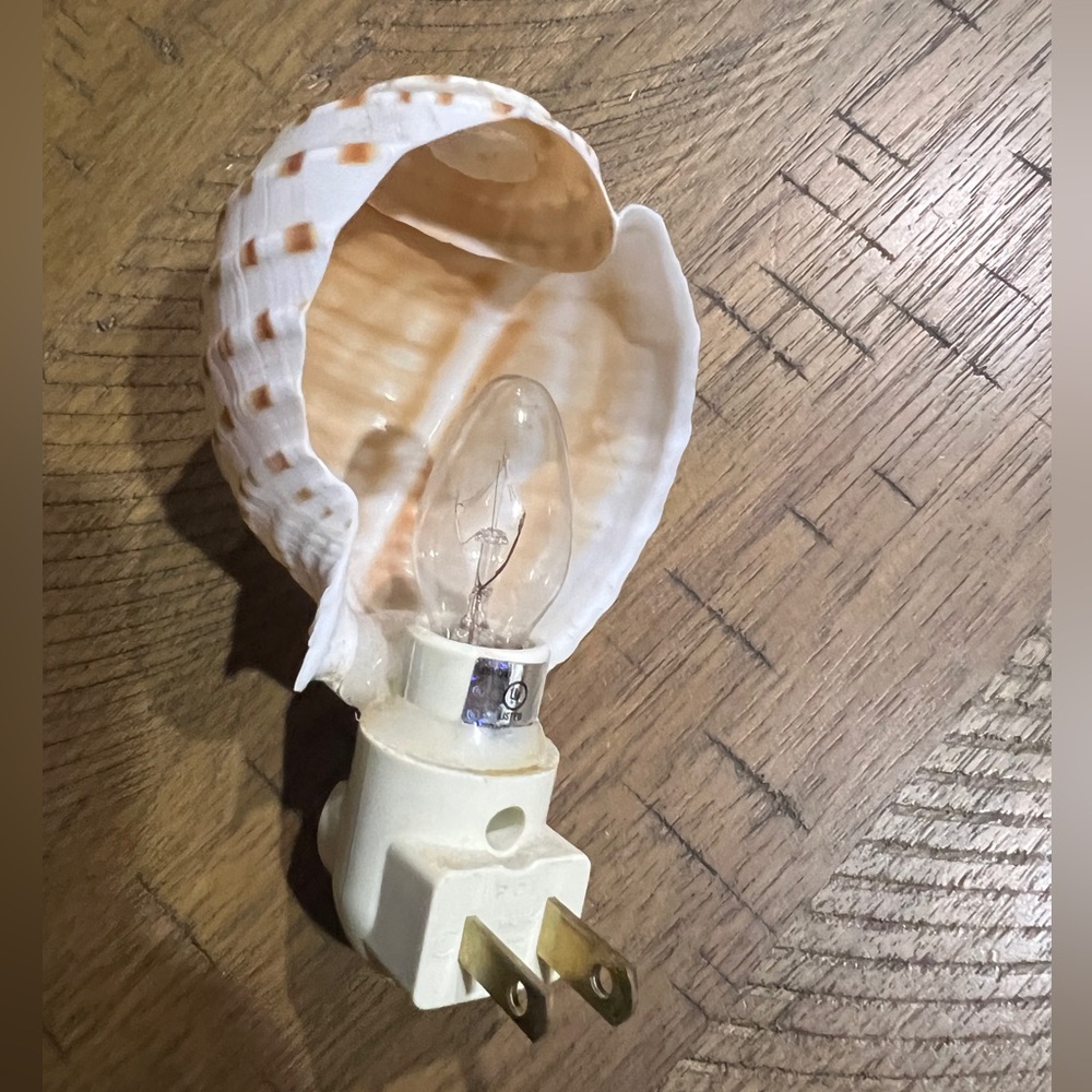 Seashell Nightlight - Picture 2 of 2